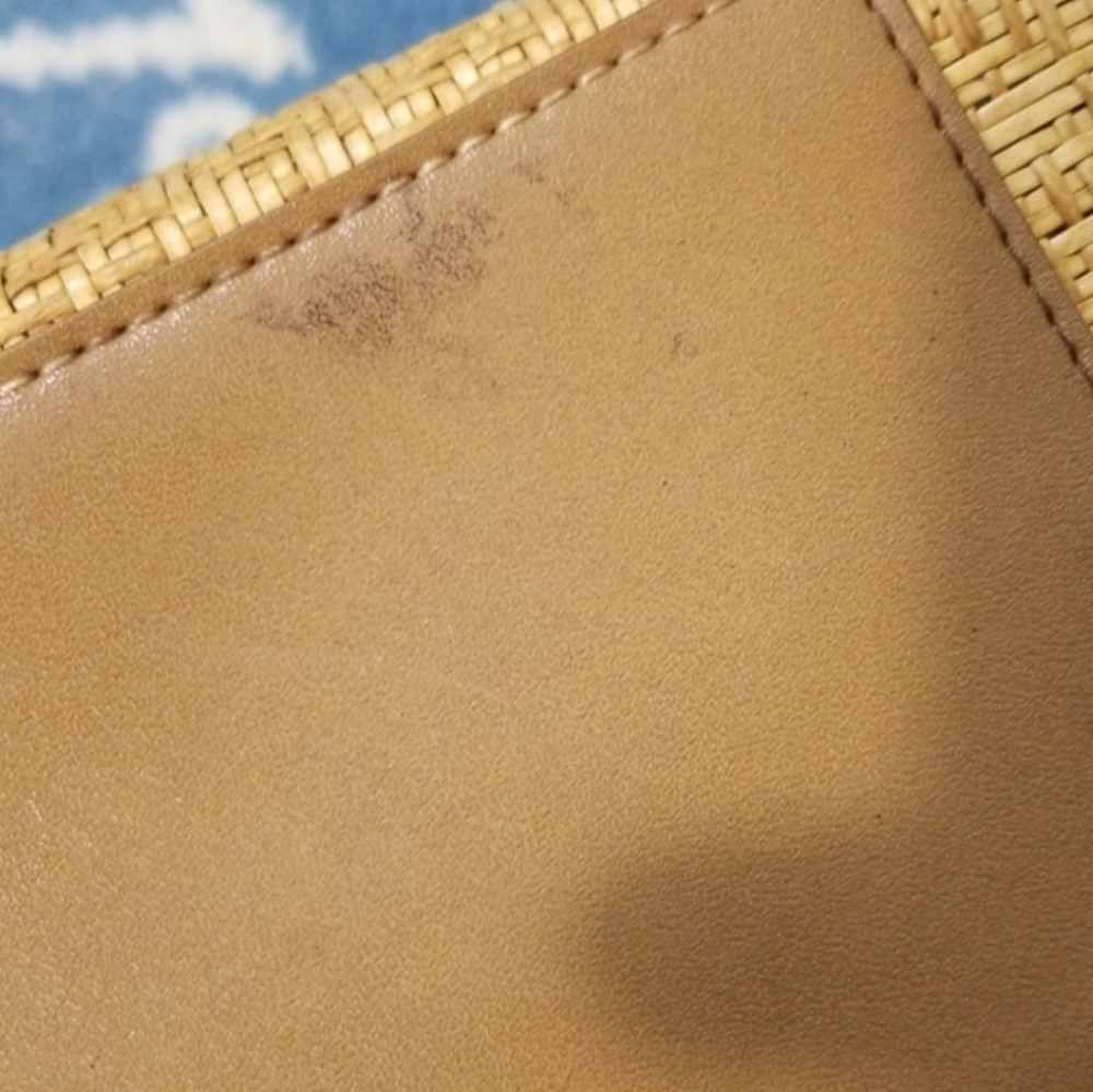 Fossil Straw Satchel with Wooden Circle Handles in Tan - Picture 8 of 8